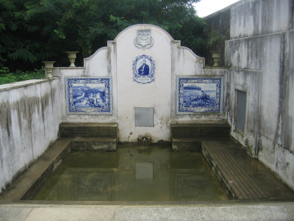 Fonte Julio Dinis