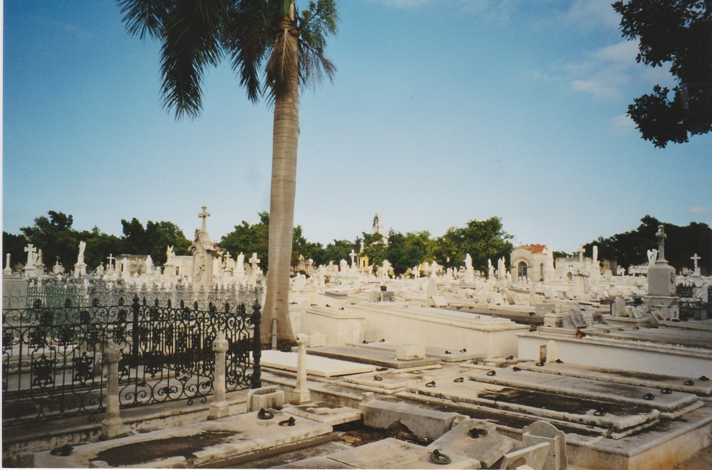 Cementerio de Colon