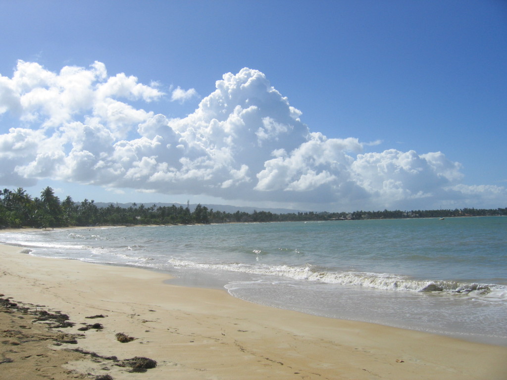 Playa Las Terrenas