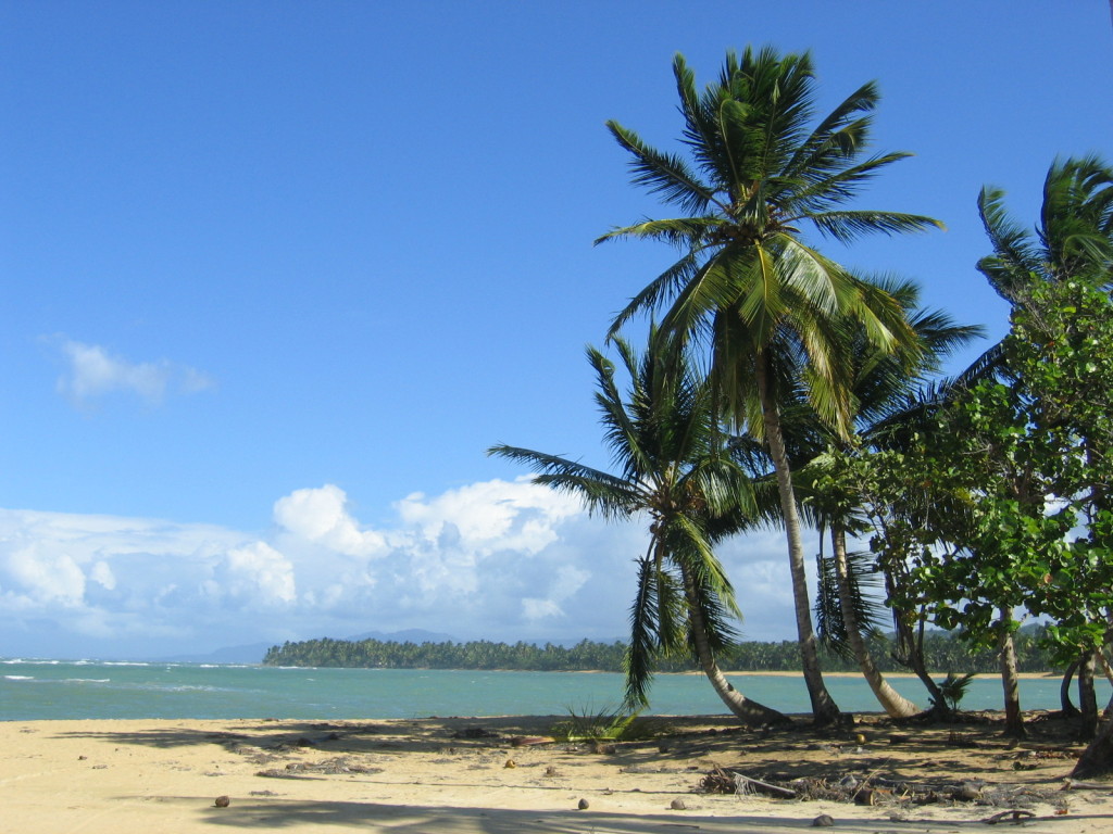 Playa Las Terrenas