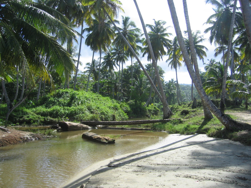 Playa Las Ballenas