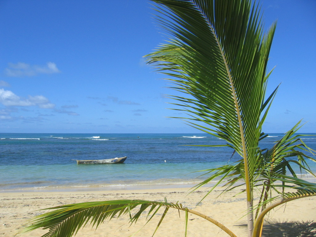 Playa Las Ballenas