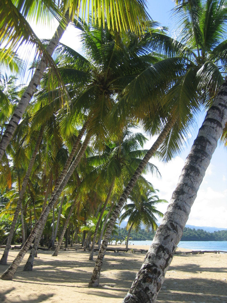 Playa Las Ballenas