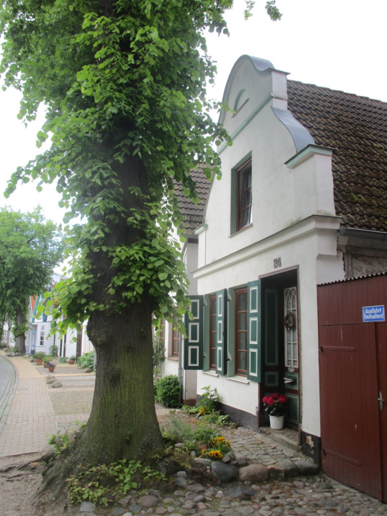 Schönes Haus